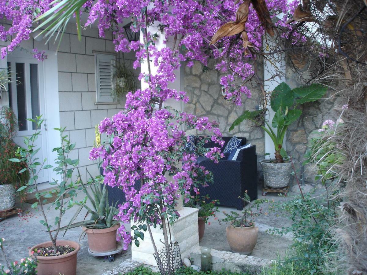 Apartments Zulic Cavtat Exterior foto